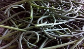 Pasta / pesto z česnekových výhonků