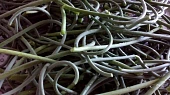 Pasta / pesto z česnekových výhonků