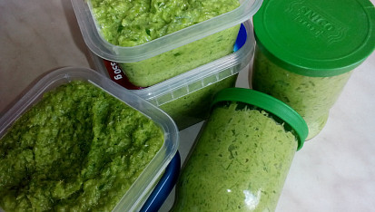 Pasta / pesto z česnekových výhonků