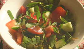 Salát ze šruchy zelné, okurek a rajčat