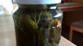 Qasháky ala Babilon- kvašáky