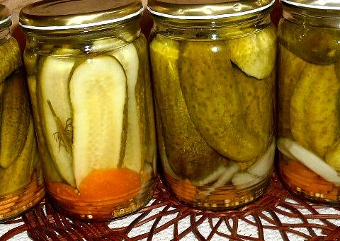 Znojemské okurky z vychytávek