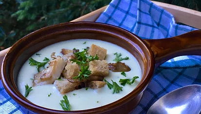 Sýrová polévka s hlívou a krutonky