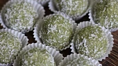 Matcha rafaelo, Matcha rafaelo