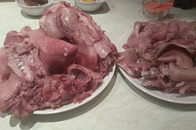 ovárek