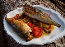 Makrela pečená na zelenině