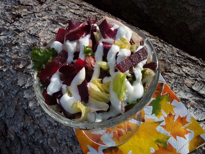 Listový salát s řepou a česnekovým dipem