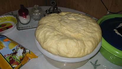 Moje letošní vánočka