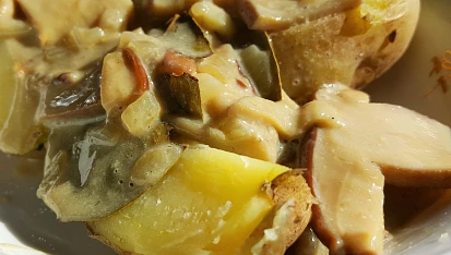 Hříbkové ragú s valašskou kyškou