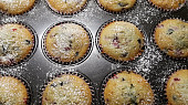 Jogurtové muffiny
