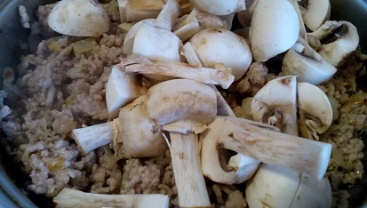 Mleté maso se žampiony a sýrem