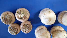 Moje plněné žampiony