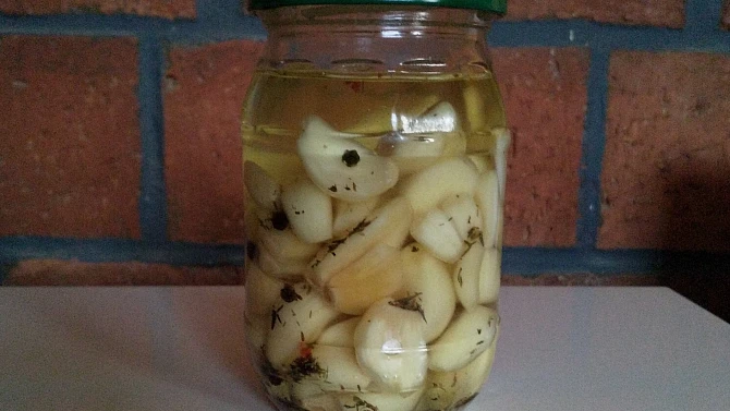 Nakládaný česnek v oleji