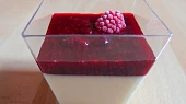 Panna cotta s malinovou omáčkou