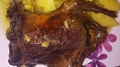 Pečené holoubě na divoko, Pečené holoubě na divoko