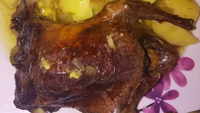 Pečené holoubě na divoko, Pečené holoubě na divoko