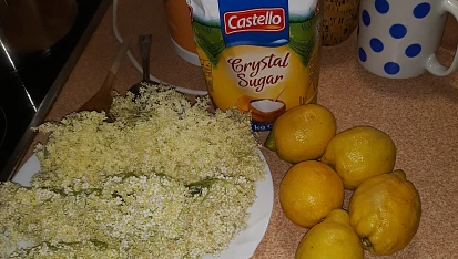 Kašička neboli limonáda z květů černého bezu