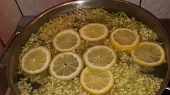 Kašička neboli limonáda z květů černého bezu