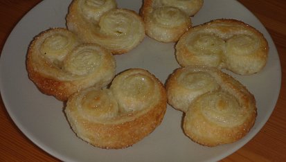 Palmiers - Palmové listy
