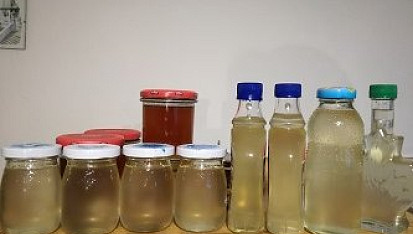 Sirup ze smrkových výhonků (pro Janinu), smrkový sirup 2019, kilo jsem odvážila a pomocí želírovacího cukru uvařila smrkové želé