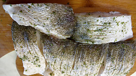 Davídkův candát na tymiánu