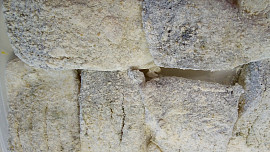 Davídkův candát na tymiánu