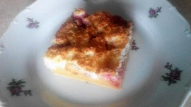 Koláč s kokosovým sněhem