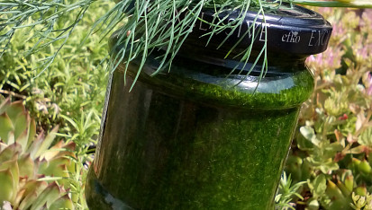 Koprové pesto