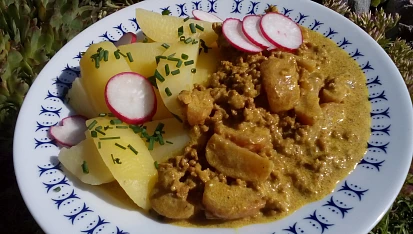 Mleté maso s ředkvičkami