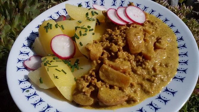 Mleté maso s ředkvičkami