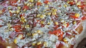 Vynikající pizza