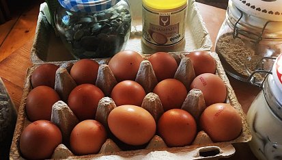 Tahini chleba - sezamový chleba bez mouky, vejce, sádlo, lněná mouka, tahini pasta, slunečnícová a dýňová semínka @5jideldenne