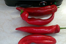 paprika červená sladká