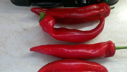 Grilovaná paprika - po řecku, paprika červená sladká