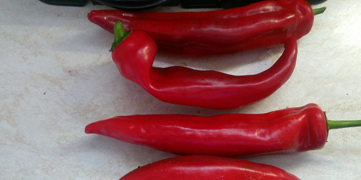Grilovaná paprika - po řecku (paprika červená sladká)