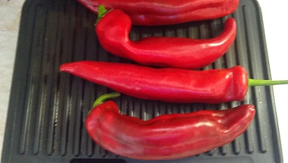 Grilovaná paprika - po řecku, umytá suchá na gril