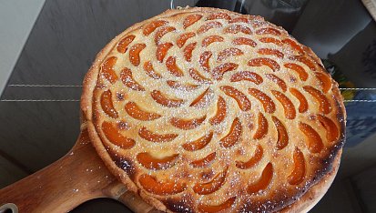 Meruňkový koláč s tvarohem a drobenkou, první pokus :-) byl vynikající