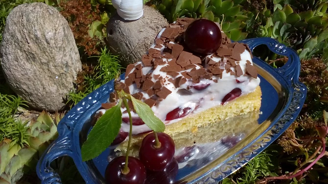 Osvěžující višňový dort/řez