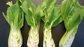 Kuřecí křídla s pak choi