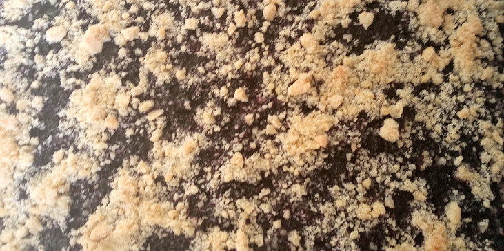 Rychlý švestkový koláč (Konečná verze borůvkový koláč)