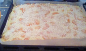 Drobenkový koláč s pudinkem a jahodami (take jsem dnes delala-mandarinky:-))