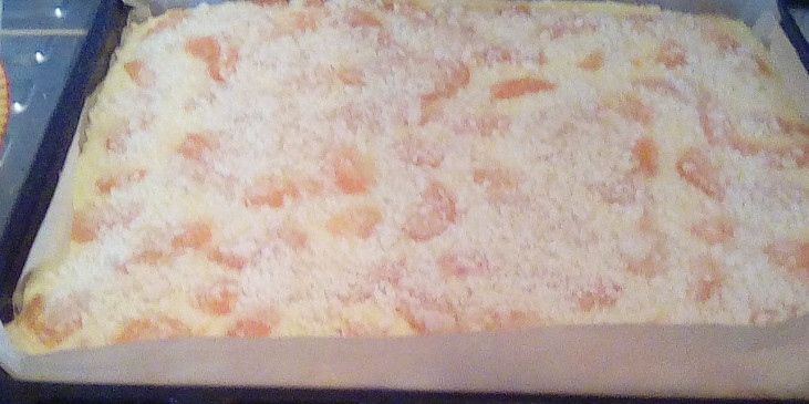 Drobenkový koláč s pudinkem a jahodami (take jsem dnes delala-mandarinky:-))
