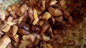 Houbové kuře (nejen) s těstovinami