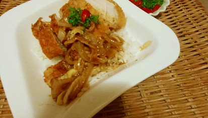Variace na katsudon