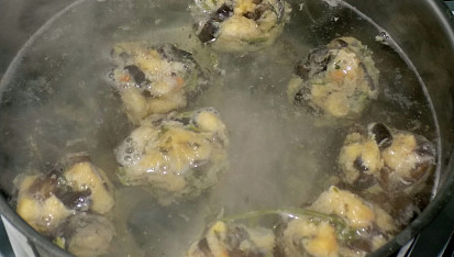Houbové knedlíky kynuté  a houbové knedlíky z rohlíků