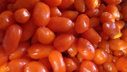 Marmeláda z rakytníku/goji