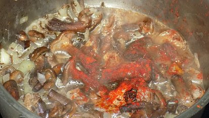 Omáčky C, Č, D (cibulová se žampióny, cibulová základní, česneková, dragounská houbovka, dýňová)