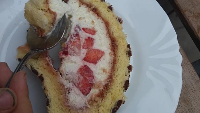 Malovaná roláda