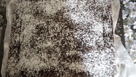 Šlehačkové nadýchané řezy