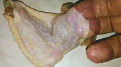 Kuřecí křídla na neděli (plněná), Prsty odtahujeme kůži od masa, jde to dosti dobře, jen se nesmí kůže natrhnout